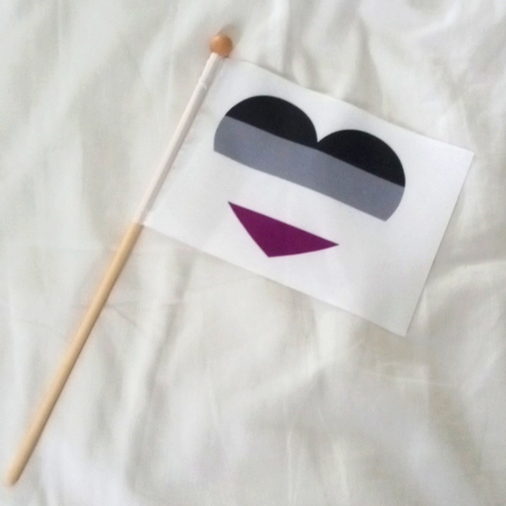 Mini Asexual Pride Flag